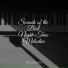 Massage Music, Ambient Piano, Piano Music