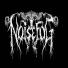 Noisefog