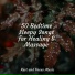 Relaxing Nature Music, Yoga Music, Studying Music