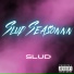 Slud