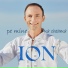 ION PALADI