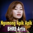BHRE Artis