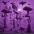 Purple Frog