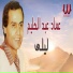 Emad Abdelhalim