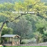 Serene Soundscapes