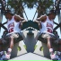 Tone G. Flamingo