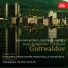 Федосеев Moscow RTV Symphony