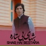 Nasir Ahmad Afghan