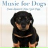 Relaxmydog, Dog Music Dreams, Pet Music Therapy