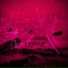 XTEND$