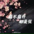 洛伊Kloe