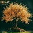 IKIGAY