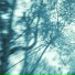 Nearxun