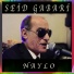 Seid Gabari