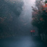 Massage Tribe, Instrumental, Meditation Zen