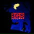BGS Project