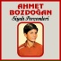 Ahmet Bozdoğan