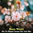 Raza Wazir