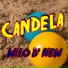 Wilo D' New
