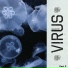 virus