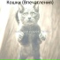 Музыка для кошек Ритмы