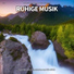 Lernmusik, Entspannungsmusik, Schlafmusik
