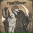 True Enemy
