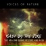 Voices of Nature