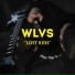 WLVS