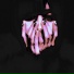 shawtyflore, notpray