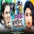 Shilpi Raj, Mithilesh Singh Premi