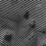 TenGrams