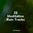Spa Zen, Rain Sounds ACE, Rain Sound Plus