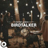 Birdtalker, OurVinyl