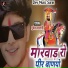 Mukesh Salvi
