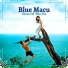 Blue Macu