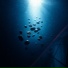 mension stars, Moonkids, Blank & Jones