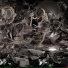 GXSTPO