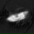 bydefault