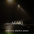 Adari
