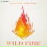 DJ Sava, Misha Miller - Wild Fire