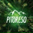PitoresQ