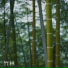 自然の音と音楽