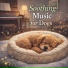 Dog Sleep Lab
