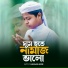 Hassan Arib