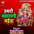 Sanjay Paswaan