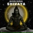 Shiva