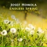 Josef Homola