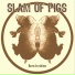 Slam of Pigs