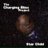 The Charging Bliss Project